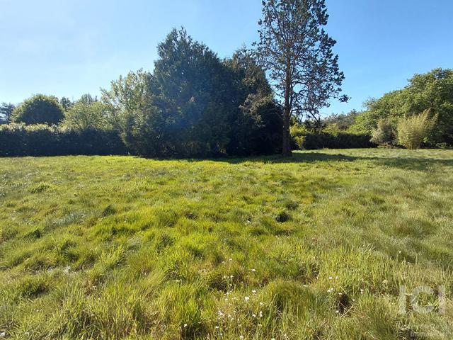 Sautron Vente Terrain 44