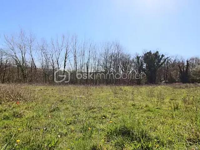 Sauvagnon 64230 Achat / Vente terrain