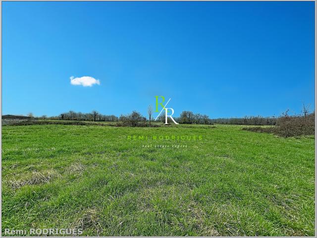Sauvagnon Vente Terrain 64