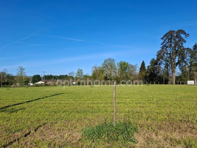 Sauveterre de Béarn Vente Terrain 64