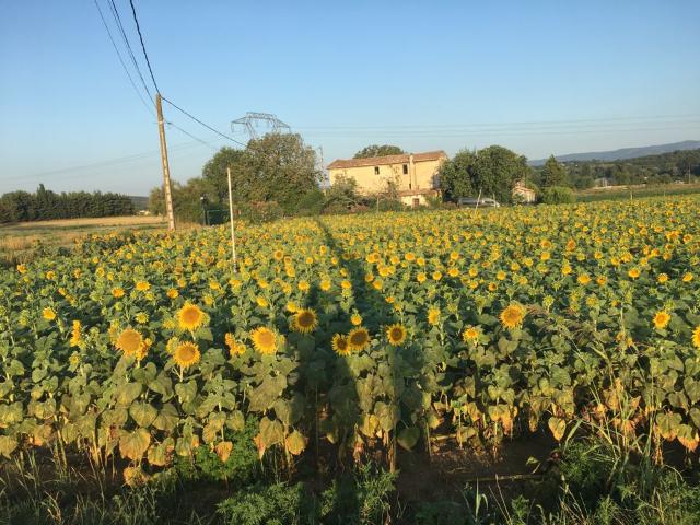 Sauzet Location Appartement 26