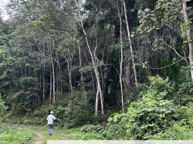 Saujana Impian