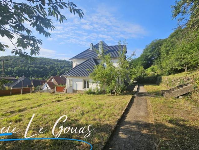 Saulnes Vente Maison 54