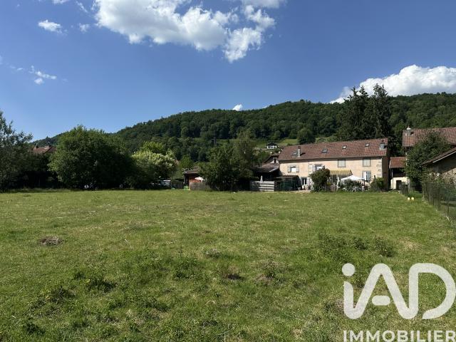 Saulxures sur Moselotte Vente Terrain 88
