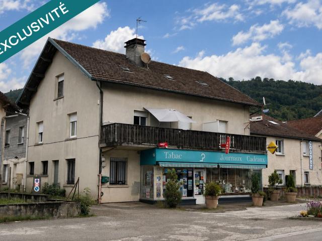 Saulxures sur Moselotte Vente Immeuble 88