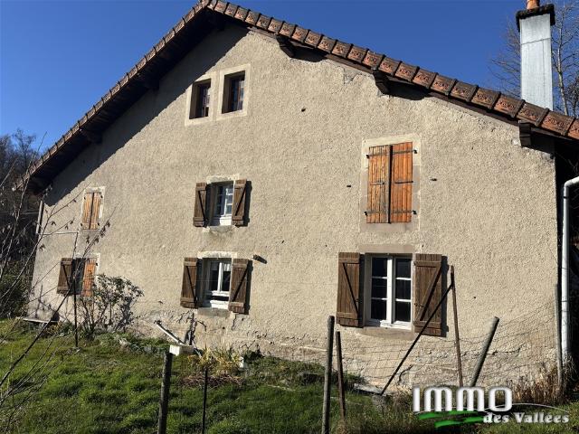 Saulxures sur Moselotte Vente Maison 88