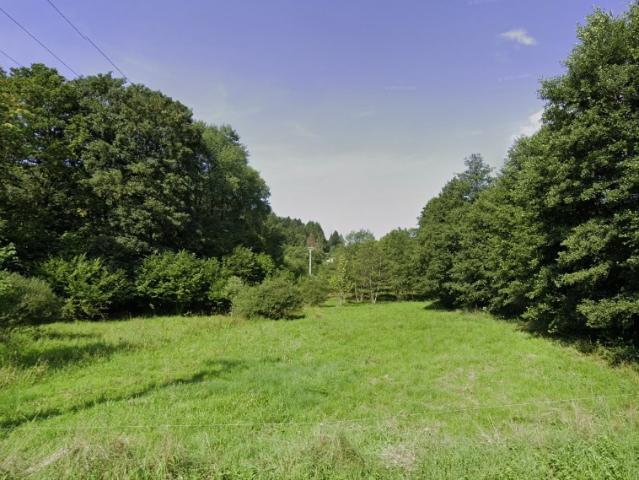 Saulxures Vente Terrain 67