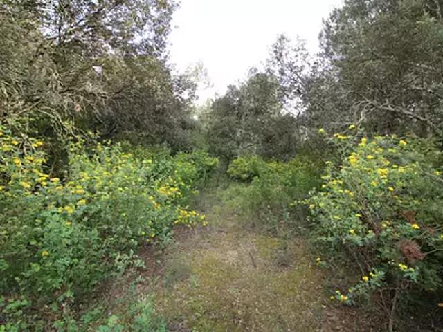 Saumane 30125 Achat / Vente terrain