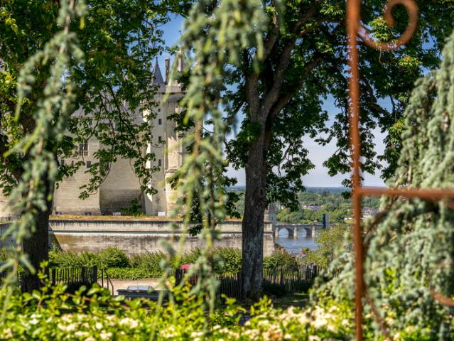 Saumur Vente Propriété/château 49