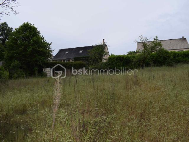 Saumur Vente Terrain 49