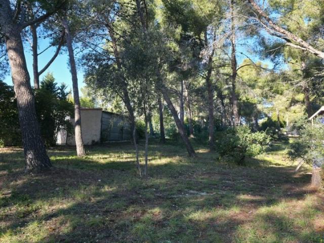Sausset les Pins Vente Terrain 13