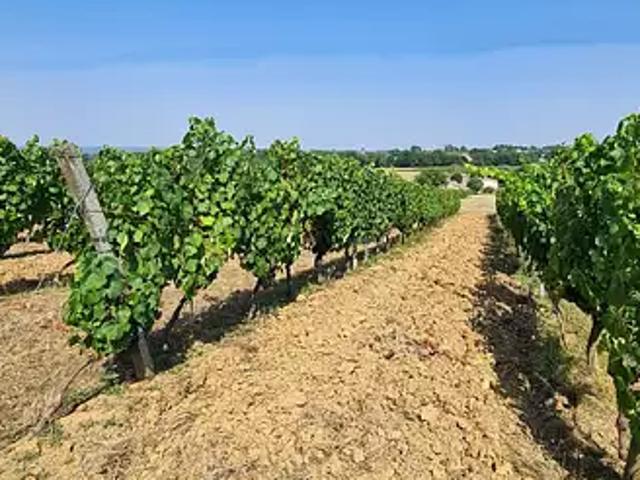 Saussignac 24240 Achat / Vente terrain