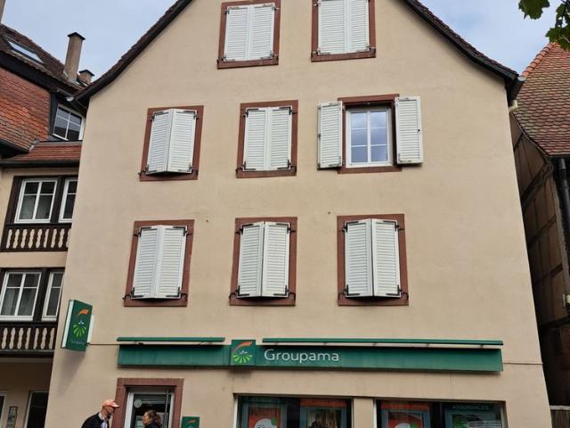 Saverne Vente Immeuble 67