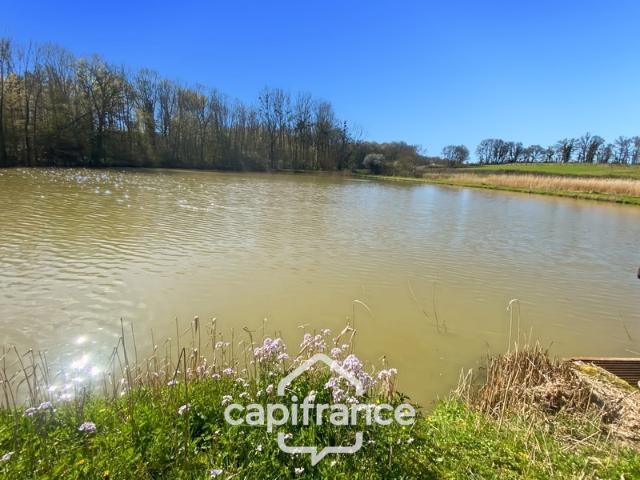 Savigny sur Seille Vente Terrain 71