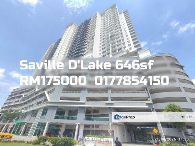Saville D'lake