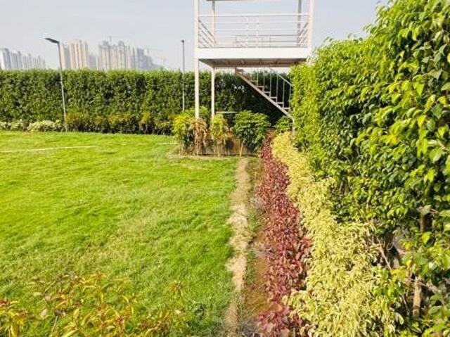 Sawera Country Farms 1700 Sq. Yd. Plot in Sector 150 Noida Listing ID: #9998