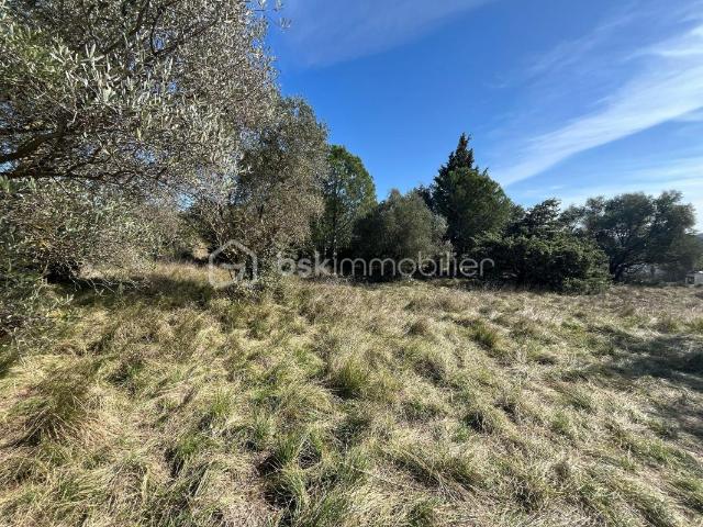 Saze Vente Terrain 30