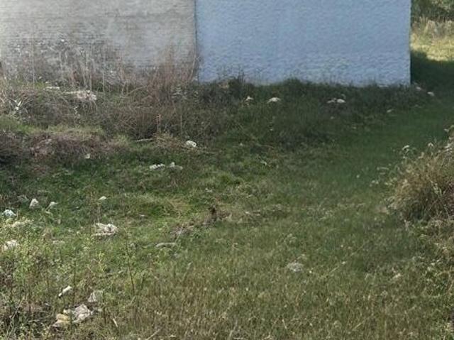 Sbp Cod 98gaj Plot For Sale 98 Sq. Yd. Plot in Ambala Highway Zirakpur Listing ID: #10197