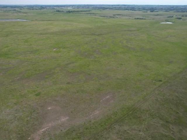 Se 33 35 15 W4, Rural Stettler No. 6, County Of, AB, T0J 1G0 vacant land for sale | Listing ID A2324 | Royal LePage