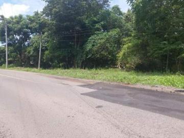 Se vende 1.5 hectáreas Vía La Mitra pasando Costa Oeste