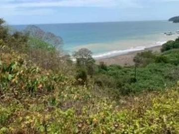 Se Vende 347 Hectareas Frente a Playa en Cerro Hoya Cerca de Cambutal, Panama