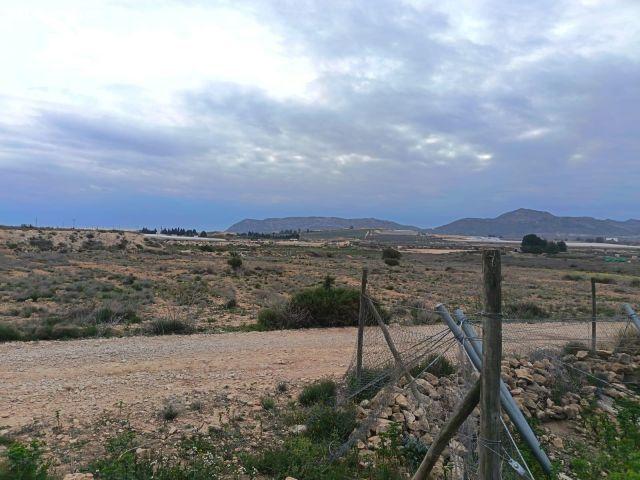 SE VENDE TERRENO / MONFORTE DEL CID / 13.000 MTS. / SE PUEDE CONSTRUIR