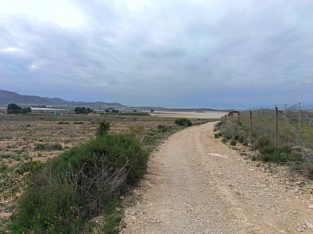 SE VENDE TERRENO / MONFORTE DEL CID / 13.000 MTS. / SE PUEDE CONSTRUIR
