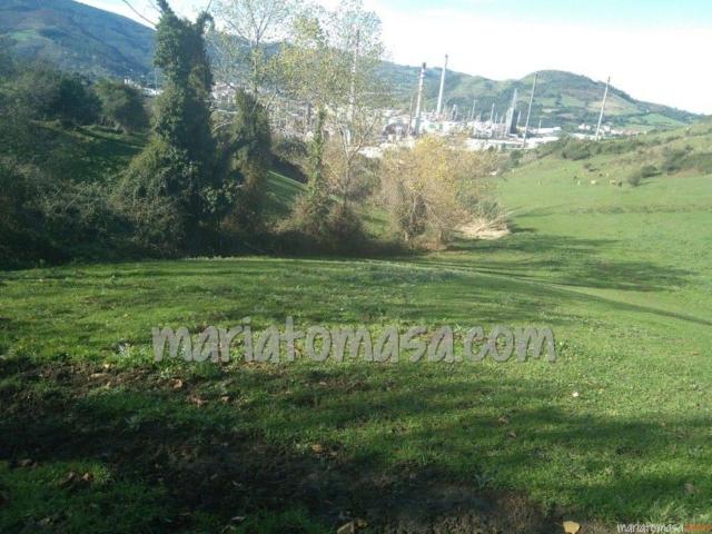 Se vende terreno agrícola en Abanto y Ziérbena