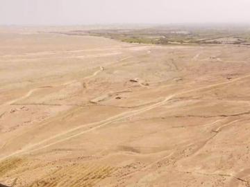 SE VENDE TERRENO AGRICOLA EN CHINCHA BAJA