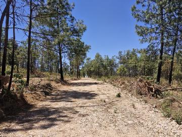 Se Vende Terreno Campestre en Atemajac de Brizuela, Jal