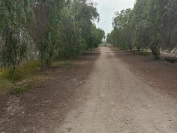 Se Vende Terreno cercado para lotizar de 4.96 Hectáreas en Chincha