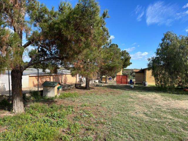 SE VENDE TERRENO CON UNA CABAÑA DE MADERA EN FORTUNA