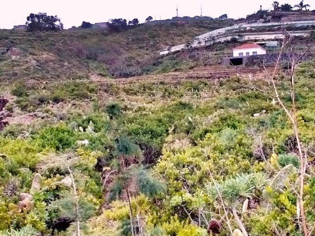 Se vende terreno con Cuarto de Apero en San Juan de La Rambla. Tenerife