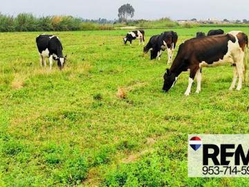 SE VENDE TERRENO DE CAMPO EN PISCO