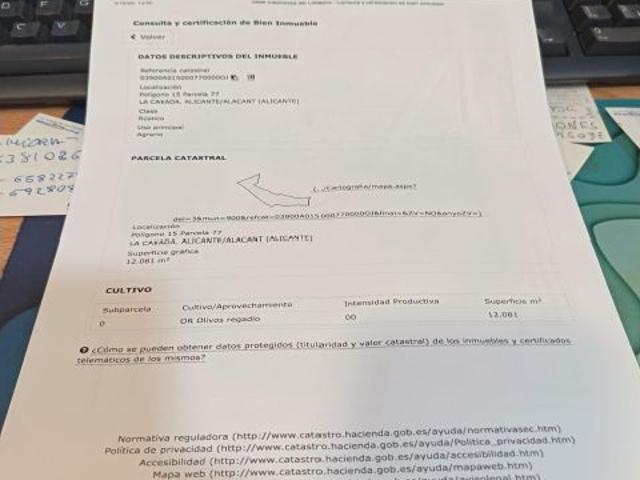 SE VENDE TERRENO DE 12.000 MTS / ZONA CAÑADA / CERCA DE CARRETERA
