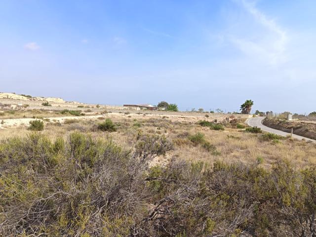 SE VENDE TERRENO DE 12.000 MTS / ZONA CAÑADA / CERCA DE LA CARRETERA