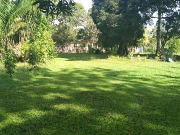 SE VENDE TERRENO DE 1 HECTAREA EN LAS MENDOZAS, CHORRERA