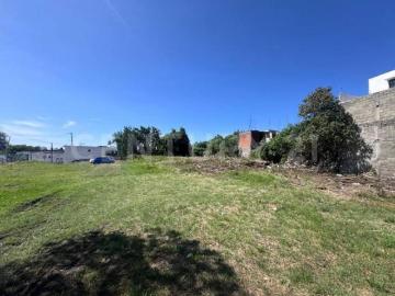 SE VENDE TERRENO DE 3,200M2 PARA DESARROLLO HABITACIONAL FRANQUICIAS COMERCIALES