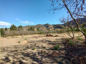 Se vende terreno de 5.000 mts2 larmahue pichidegua
