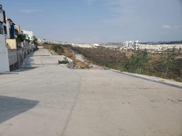 Se Vende Terreno en Milenio III, 224 m2, 9.06 x 24.58, Oportunidad