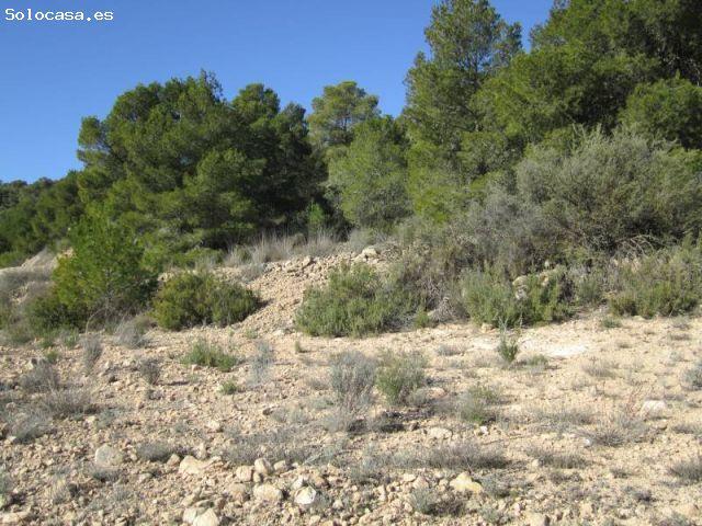 SE VENDE TERRENO EN MONOVAR