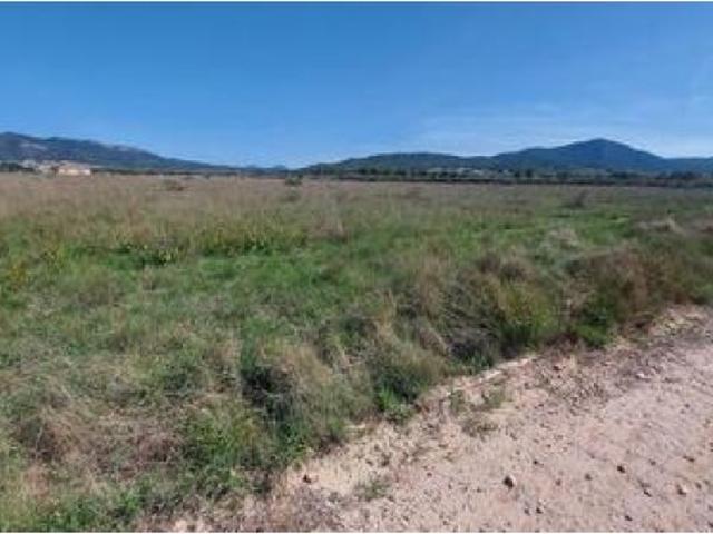 SE VENDE TERRENO EN NOVELDA