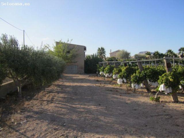 SE VENDE TERRENO EN NOVELDA