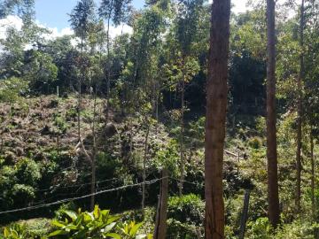 Se Vende Terreno en Oxapampa de 2 Hectáreas con Hermosa Vista a la Naturaleza