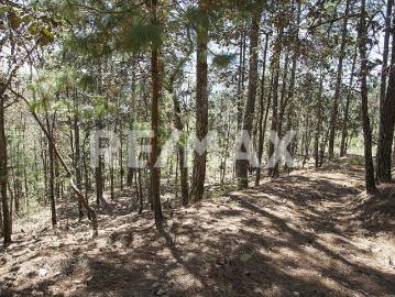 Se vende Terreno en Alcanfores