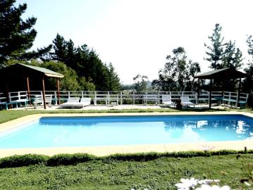 Se vende Terreno en Algarrobo