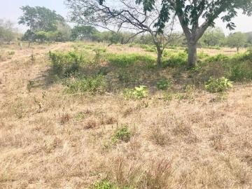 SE VENDE TERRENO EN AMPLIACION MATA DE PITA