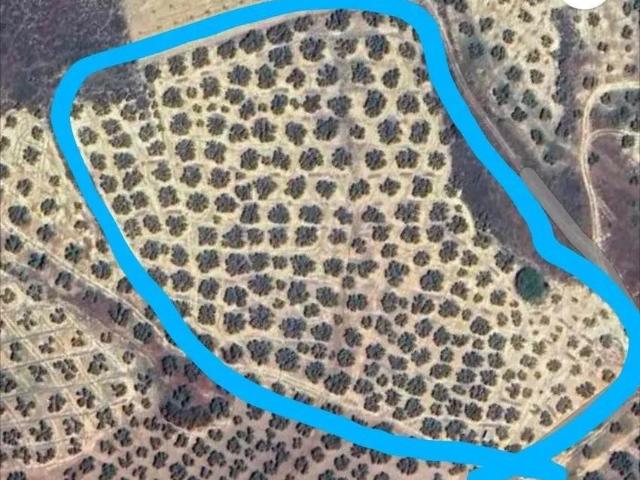 SE VENDE TERRENO EN ANTEQUERA