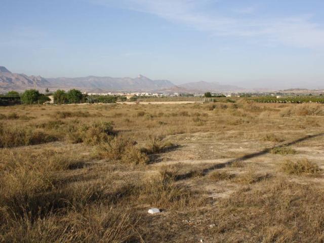SE VENDE TERRENO EN ASPE