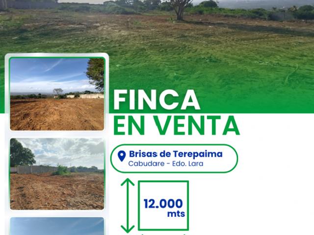 SE VENDE TERRENO EN CABUDARE LARA VE01 0026EL LHER
